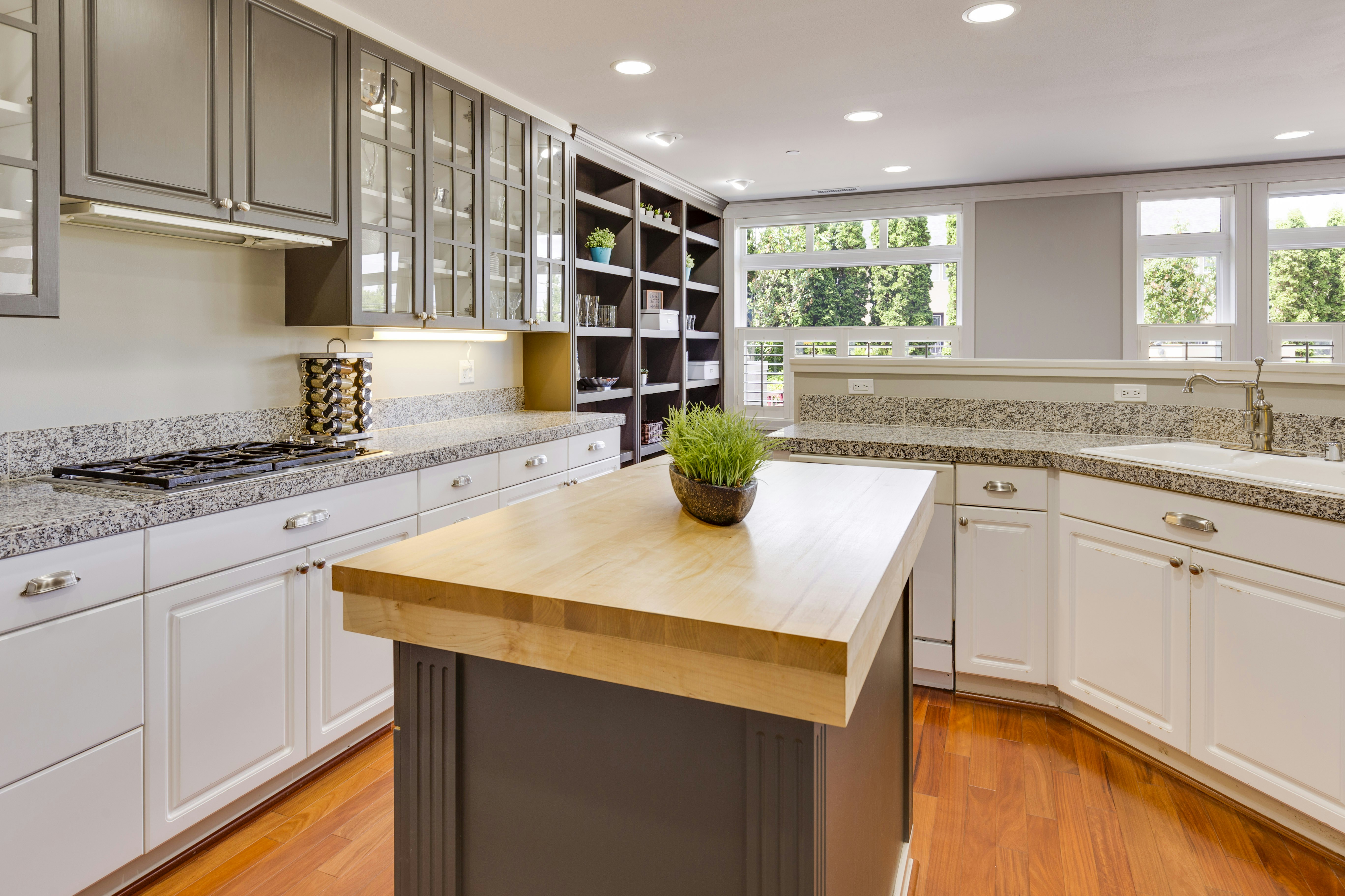 Kitchen And Living Room